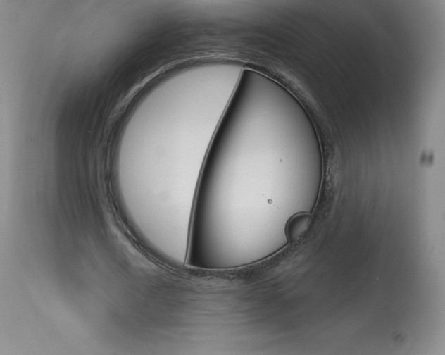X0000113920722200909241329