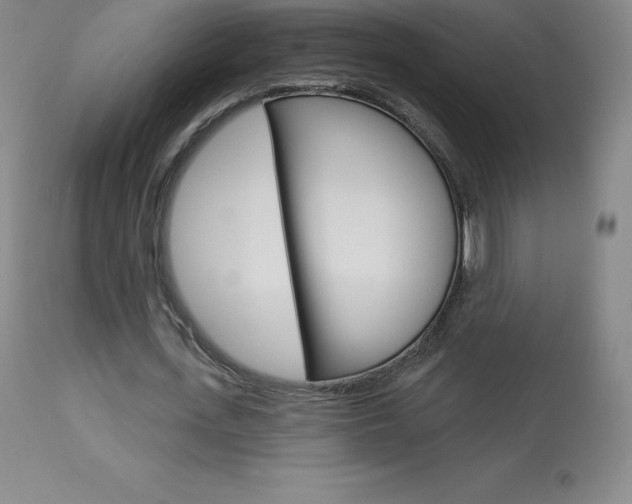 X0000113920723200909241329