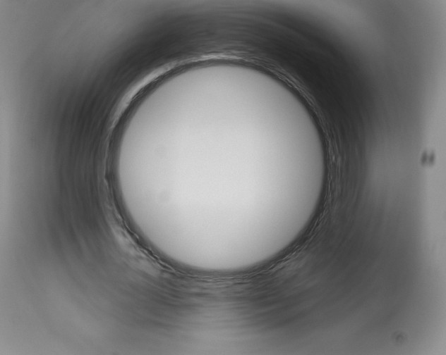 X0000113920724200909241329
