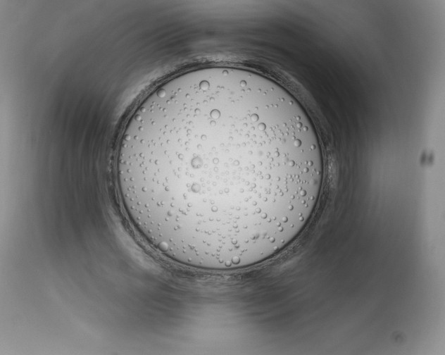 X0000113920725200909241329