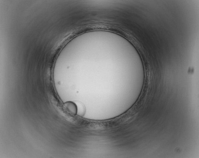 X0000113920729200909241329
