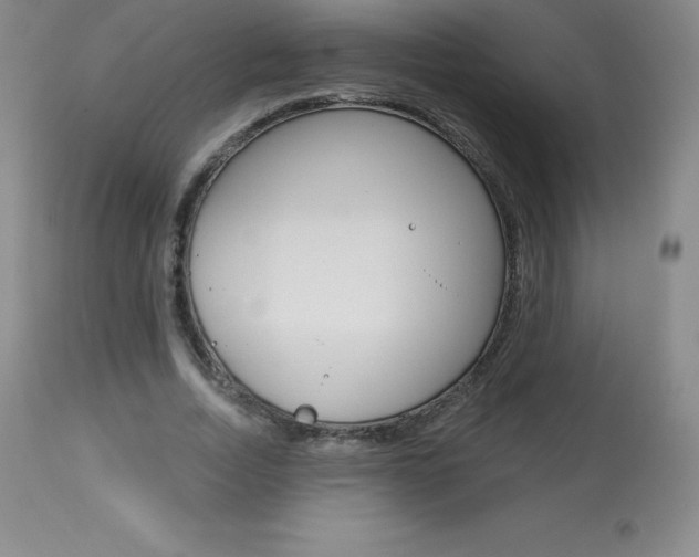 X0000113920730200909241329