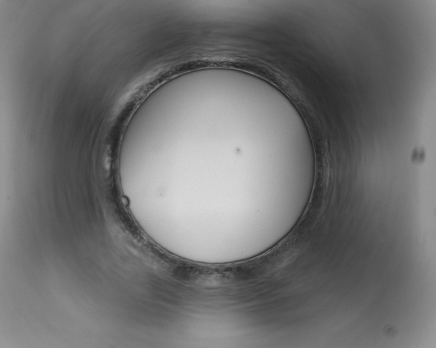 X0000113920731200909241329