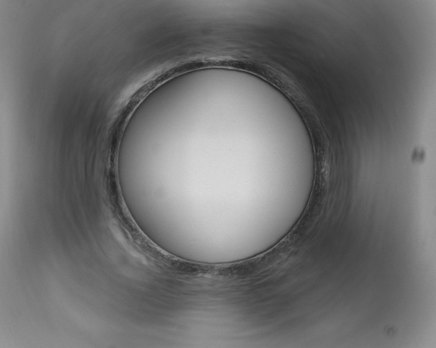 X0000113920732200909241329