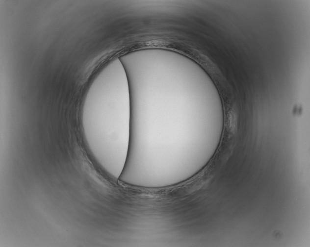 X0000113920733200909241329