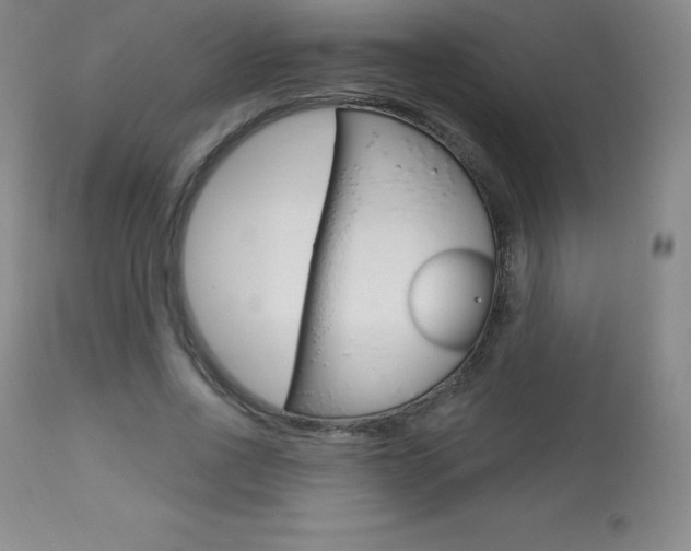 X0000113920734200909241329