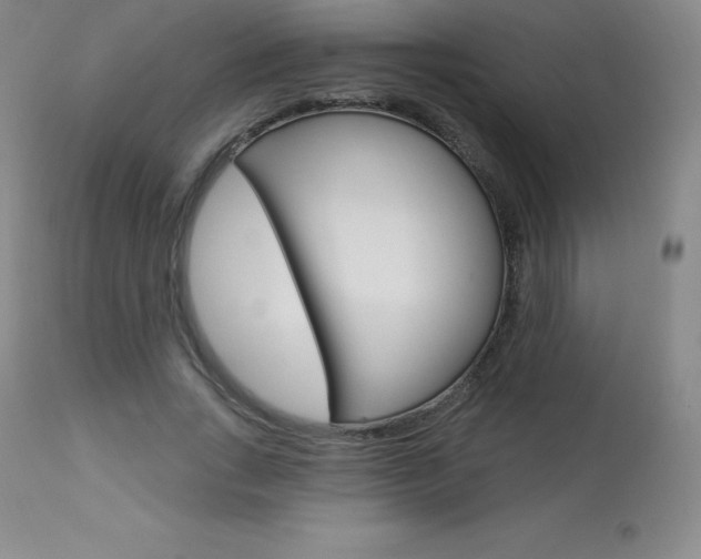 X0000113920735200909241329