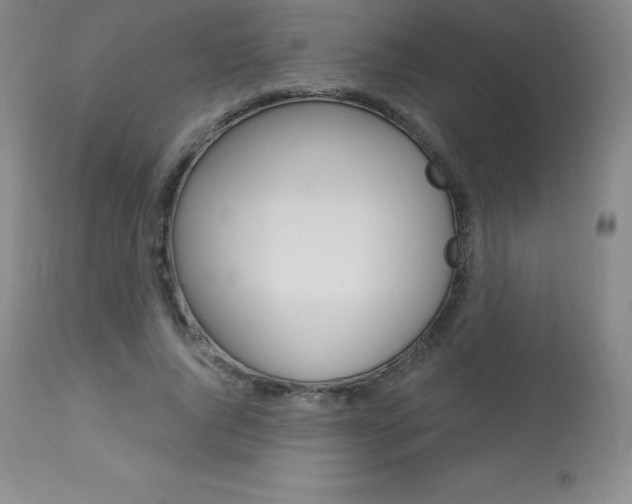 X0000113920736200909241329