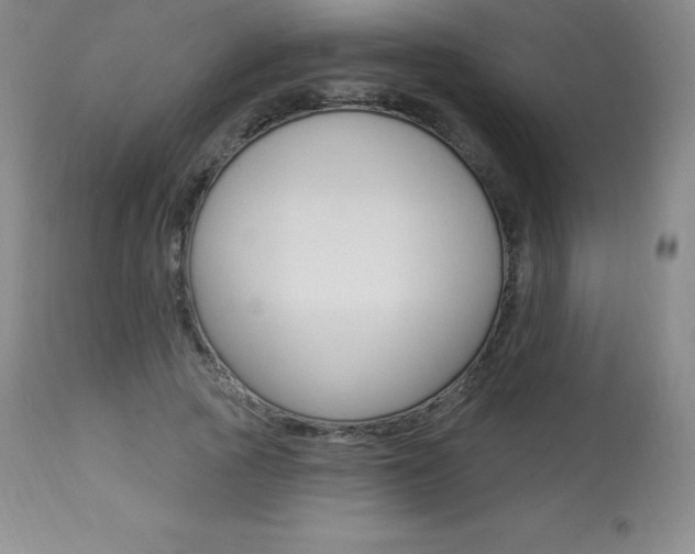 X0000113920737200909241329
