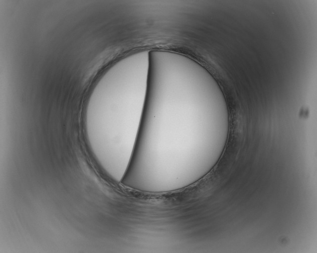 X0000113920738200909241329