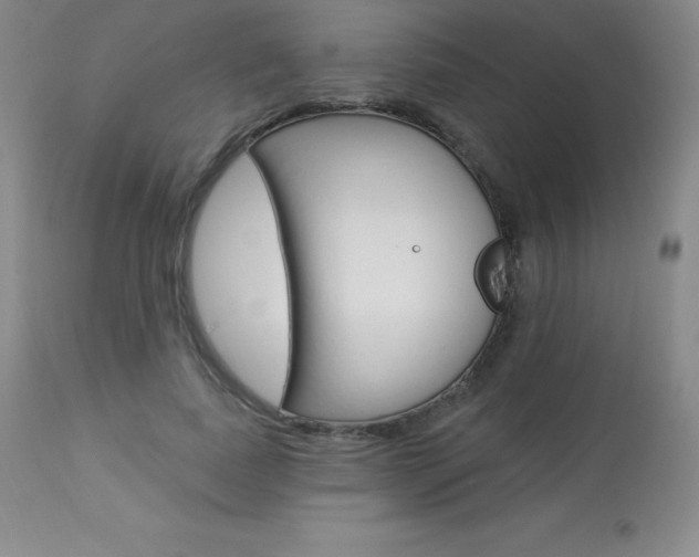 X0000113920739200909241329