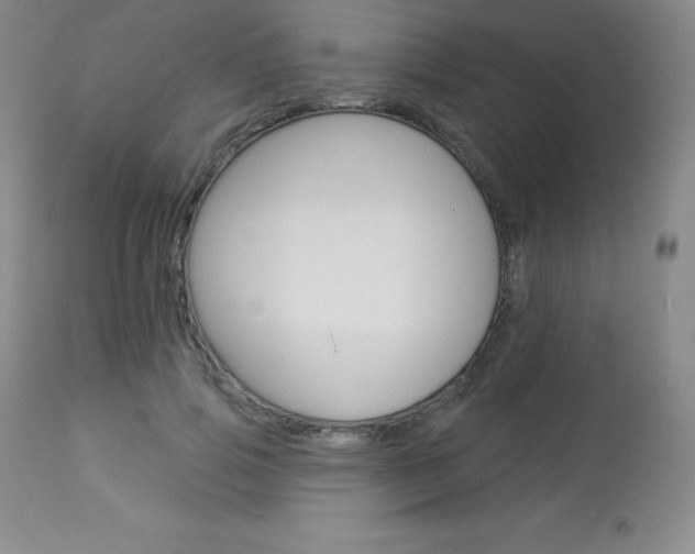 X0000113920741200909241329