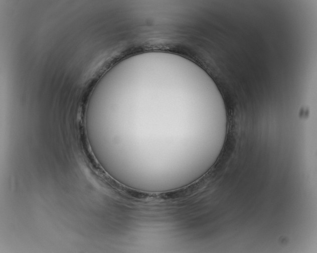 X0000113920742200909241329