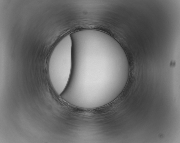 X0000113920743200909241329