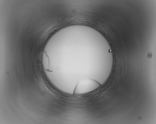 X0000113920744200909241329