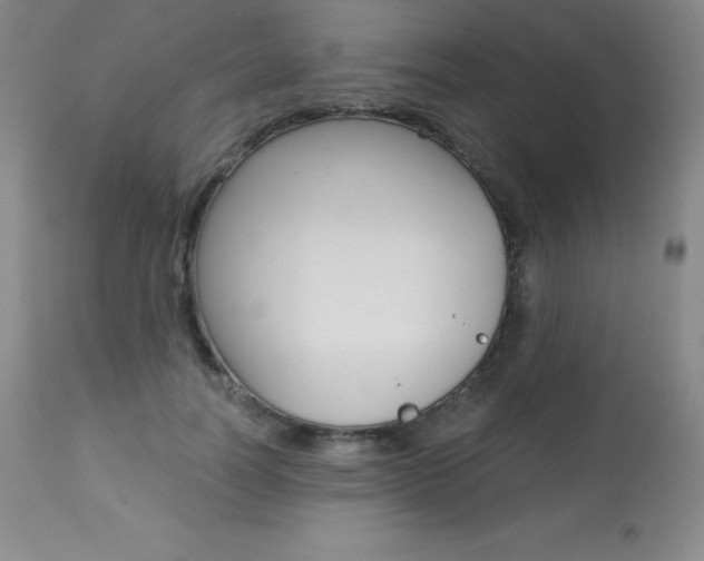 X0000113920746200909241329