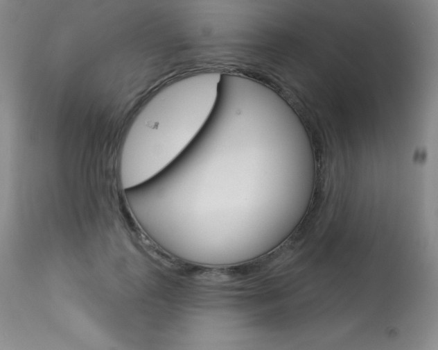 X0000113920747200909241329