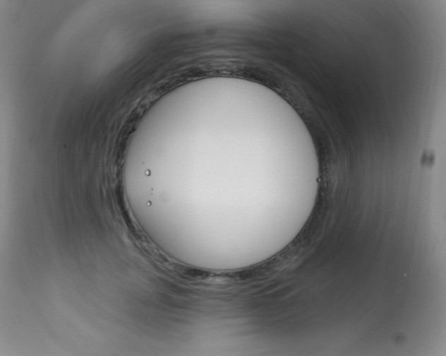X0000113920751200909241329