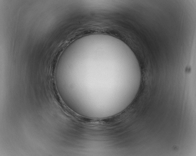 X0000113920752200909241329