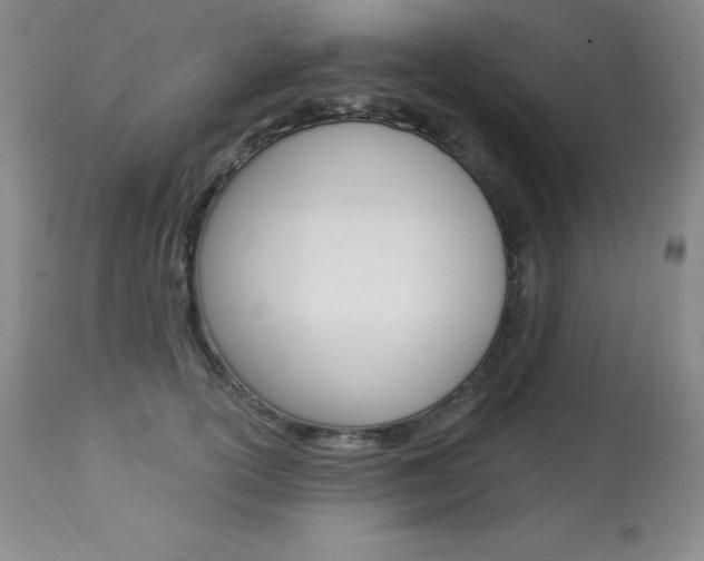 X0000113920754200909241329