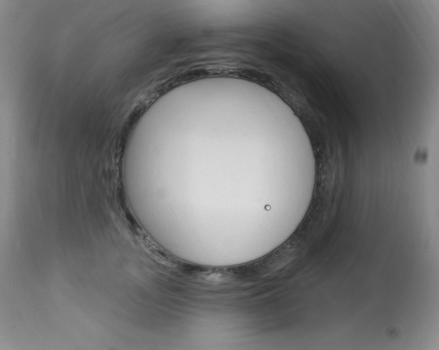 X0000113920755200909241329
