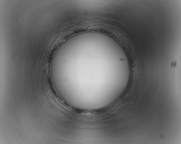 X0000113920756200909241329