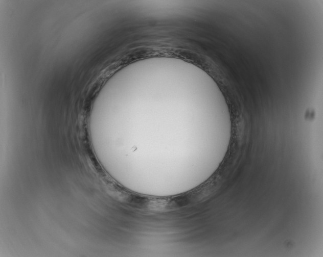 X0000113920757200909241329