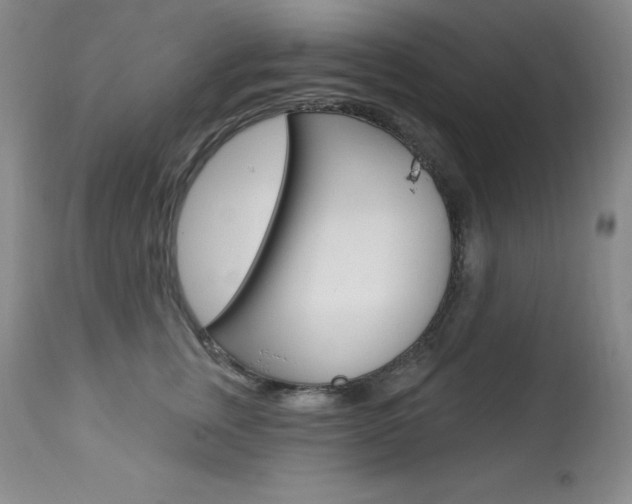 X0000113920759200909241329