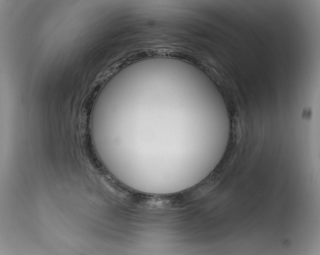 X0000113920760200909241329