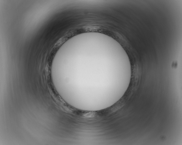 X0000113920761200909241329