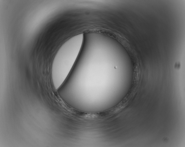 X0000113920762200909241329