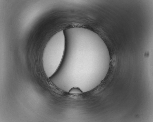 X0000113920763200909241329