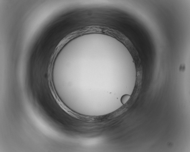 X0000113920765200909241329