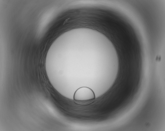X0000113920766200909241329