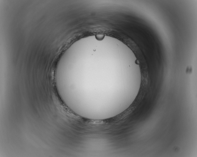 X0000113920767200909241329