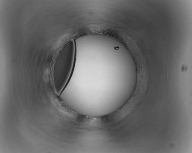 X0000113920768200909241329