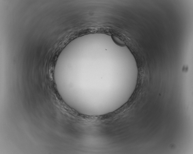 X0000113920770200909241329