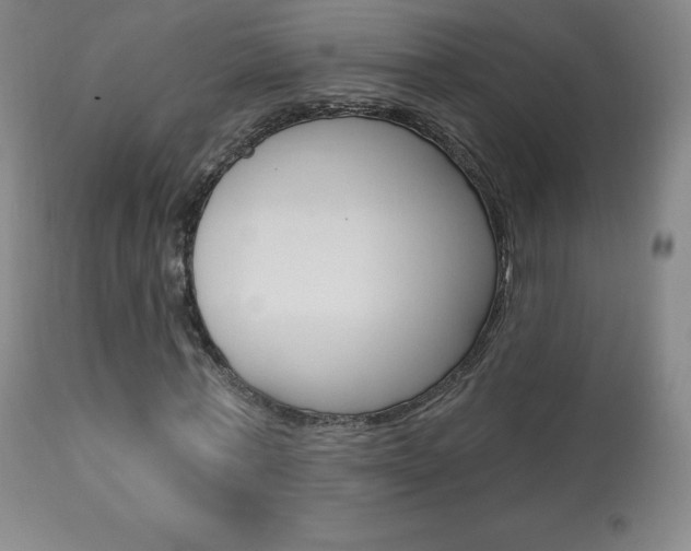 X0000113920771200909241329