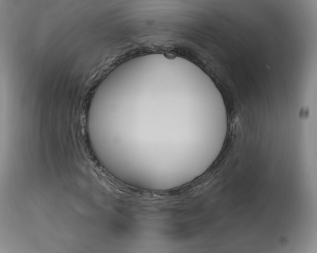 X0000113920772200909241328