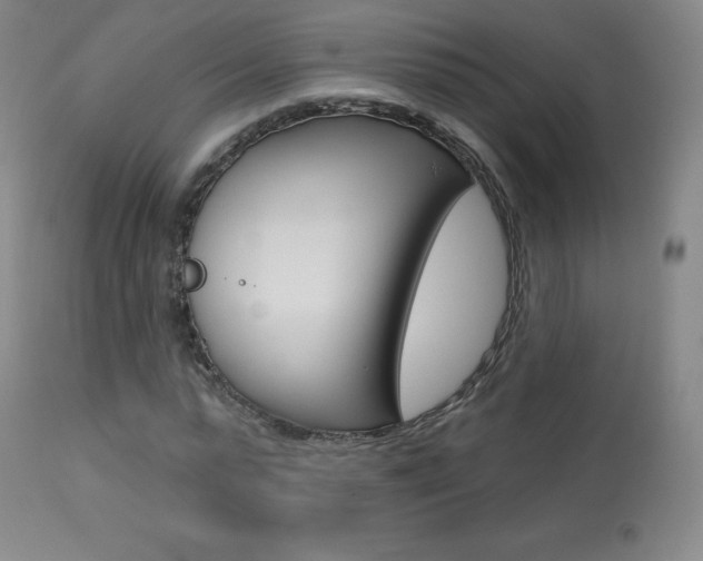 X0000113920775200909241328