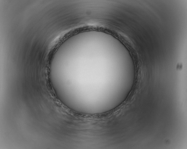X0000113920776200909241328