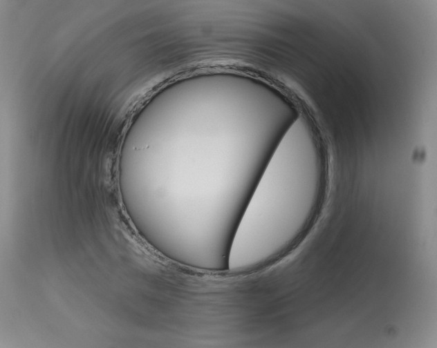 X0000113920777200909241328
