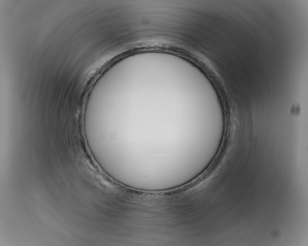 X0000113920778200909241328