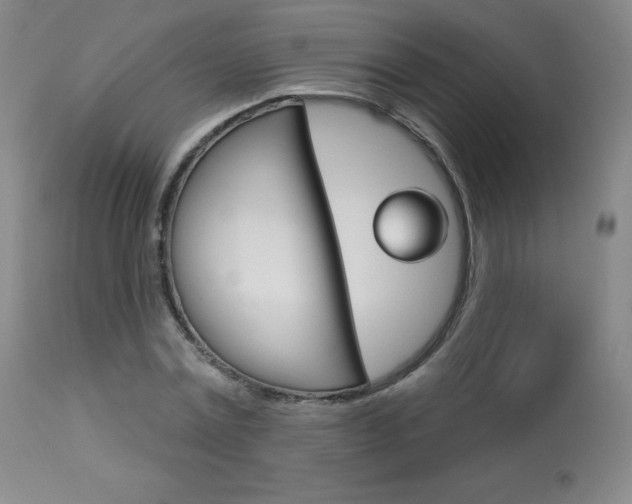X0000113920779200909241328