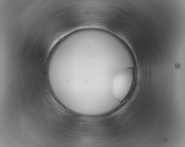 X0000113920781200909241328