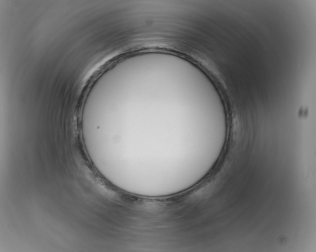 X0000113920782200909241328