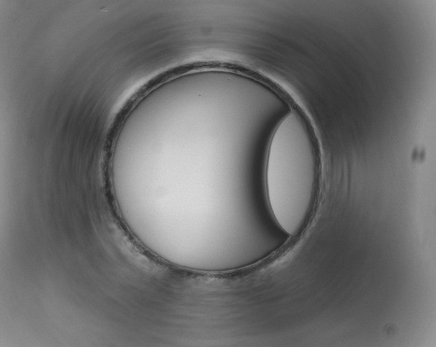 X0000113920783200909241328