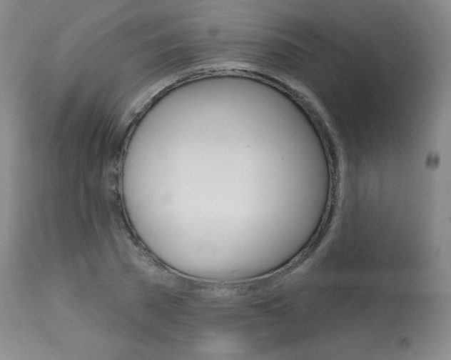 X0000113920785200909241328