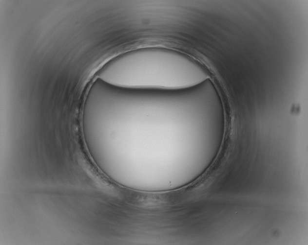 X0000113920786200909241328