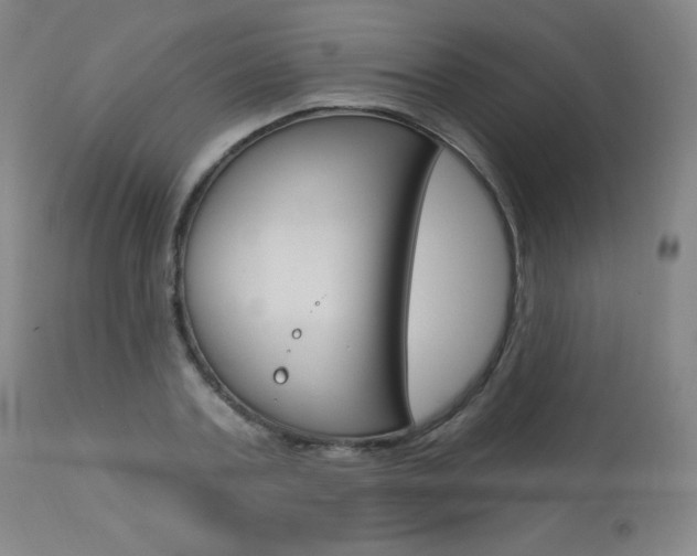 X0000113920787200909241328